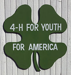 Henry County 4-H