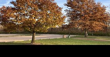 Fall colors peaked in Ohio, burn ban still in place - Vimarsana News