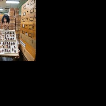 Philippines' 'Cockroach Lord' goes to bat for misunderstood bugs