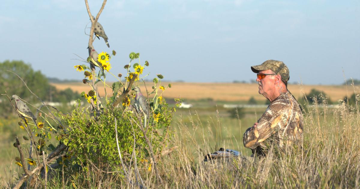 Julie Geiser: Dove season opens Monday in Nebraska