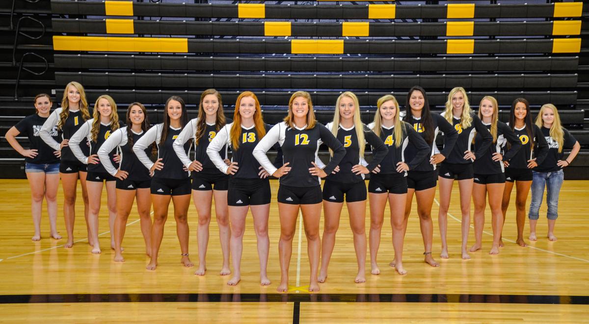 Lady Knights volleyball team named NJCAA Top Academic Team | Sports ...