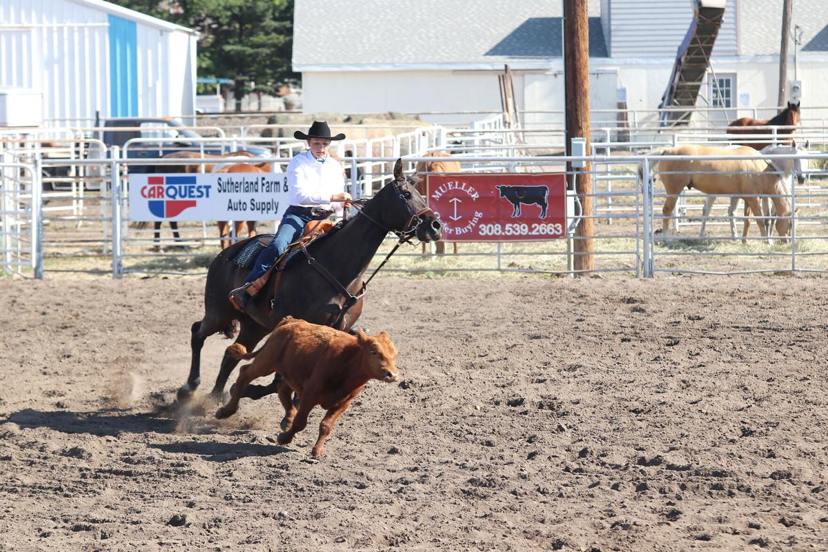 Sutherland Junior Rodeo Queen candidates go through horsemanship