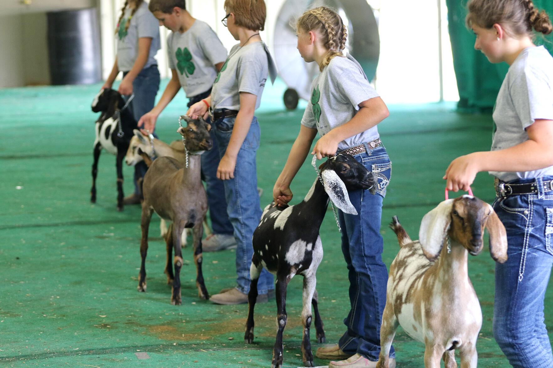 Lincoln County Fair returns without any restrictions in 2022