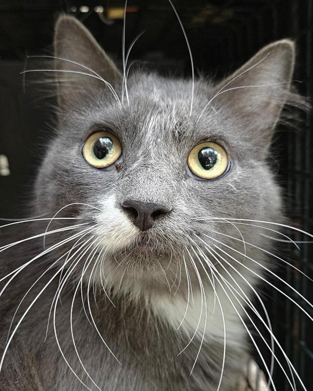 Peter