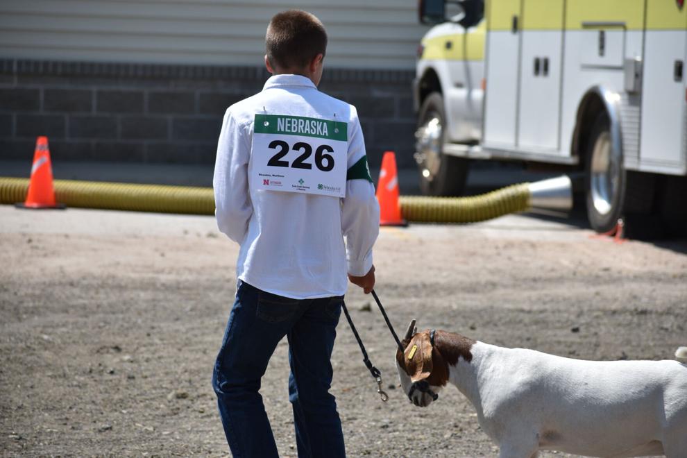 Watch now: Participants show off their hard work during Lincoln County