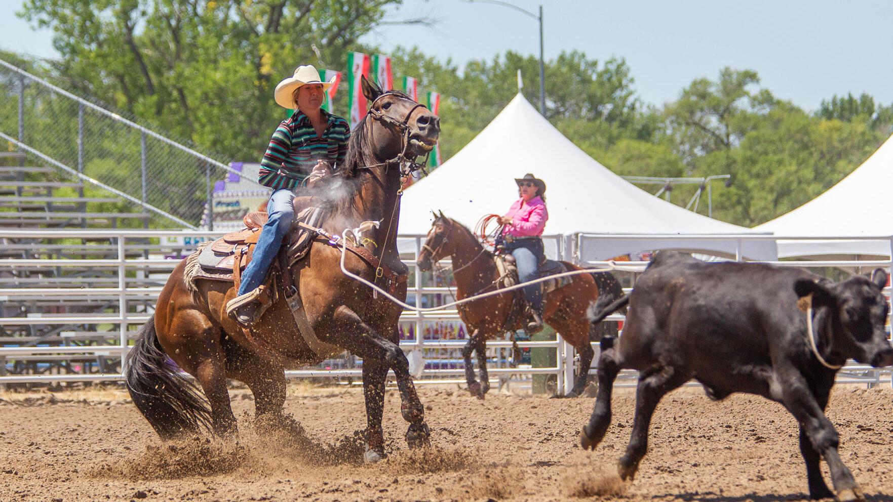Prca S No 1 Bareback Rider Grateful For The Chance To Compete Sports News Nptelegraph Com Rodeo Show Calendar In Utah For April 2022