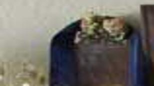 Steele Vintage Art From Yesterday Lifestyle Nptelegraph Com Buyers and sellers haggle and haggle over prices. north platte telegraph