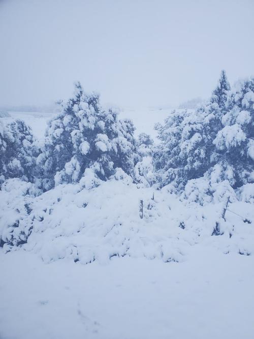 Snow dusts North Platte, while other west central Nebraska areas see as much as 10 inches