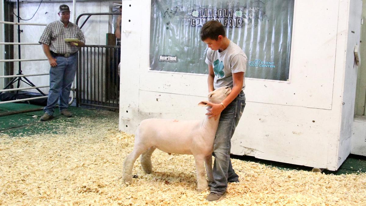 Gallery Views Of The Weekend At The Lincoln County Fair News