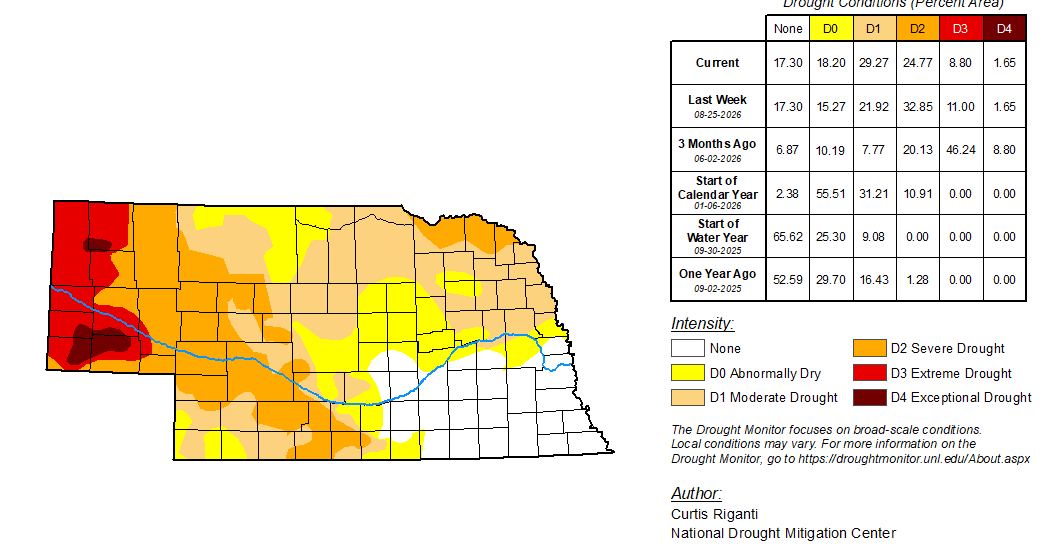 After 5½ inches in 6 weeks, ’26 loses grip on ‘driest’ rainfall list