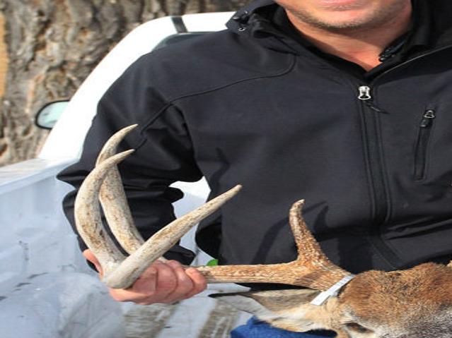 Field Judging Tips For Deer Season Outdoor Sports Nptelegraph Com
