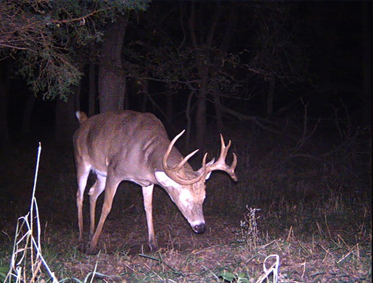 Pick a good deer stand site