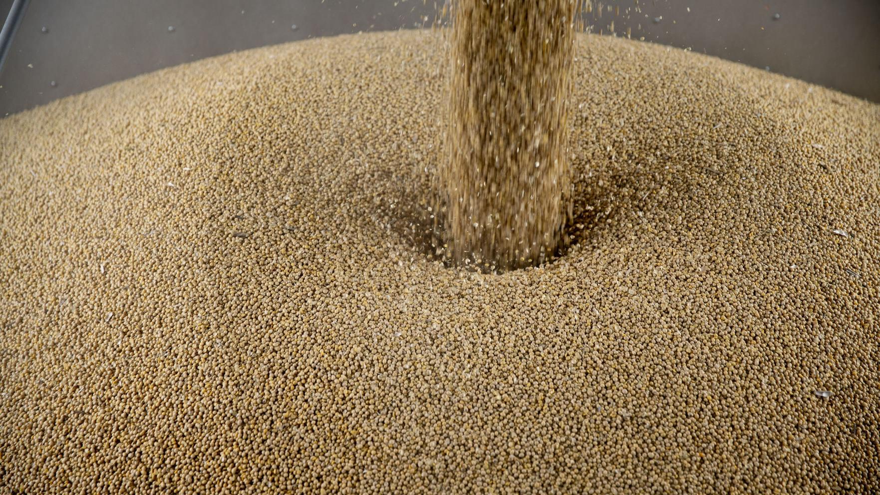 Grain Bin Entrapment Movie To Screen At Nebraska Power Farming