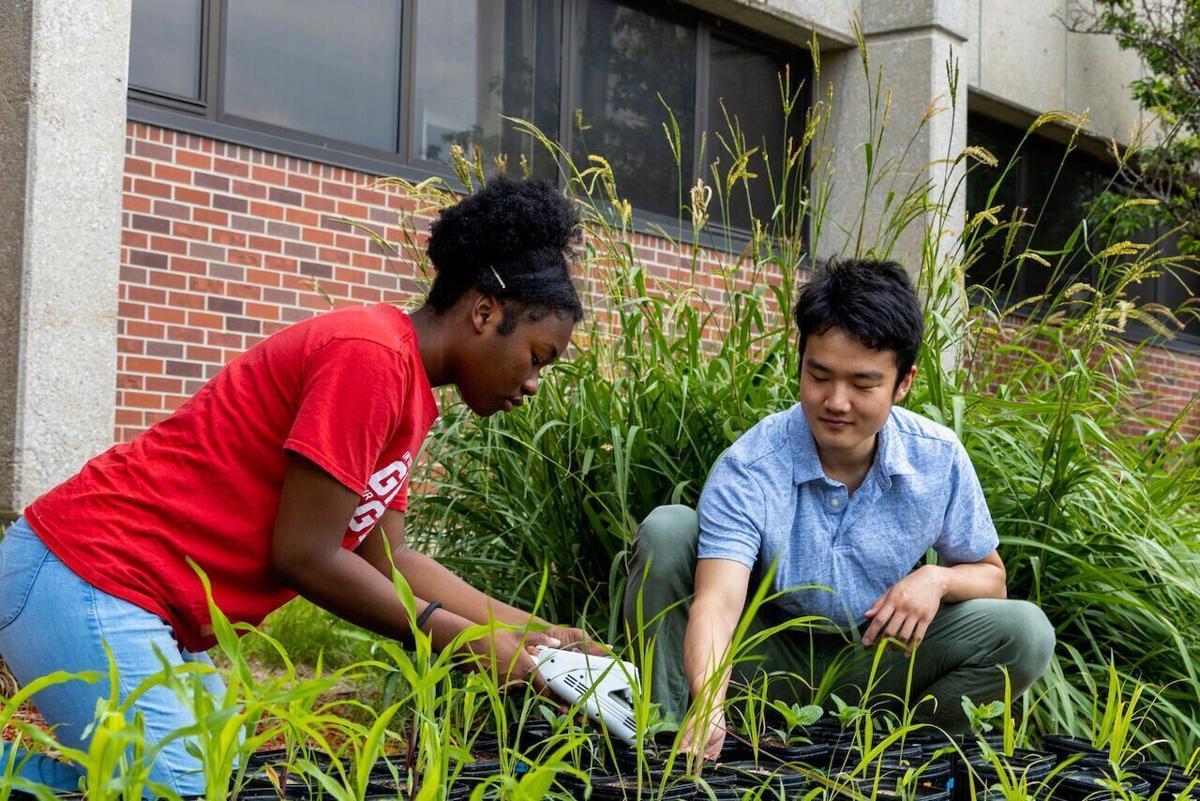 UNL stem 1