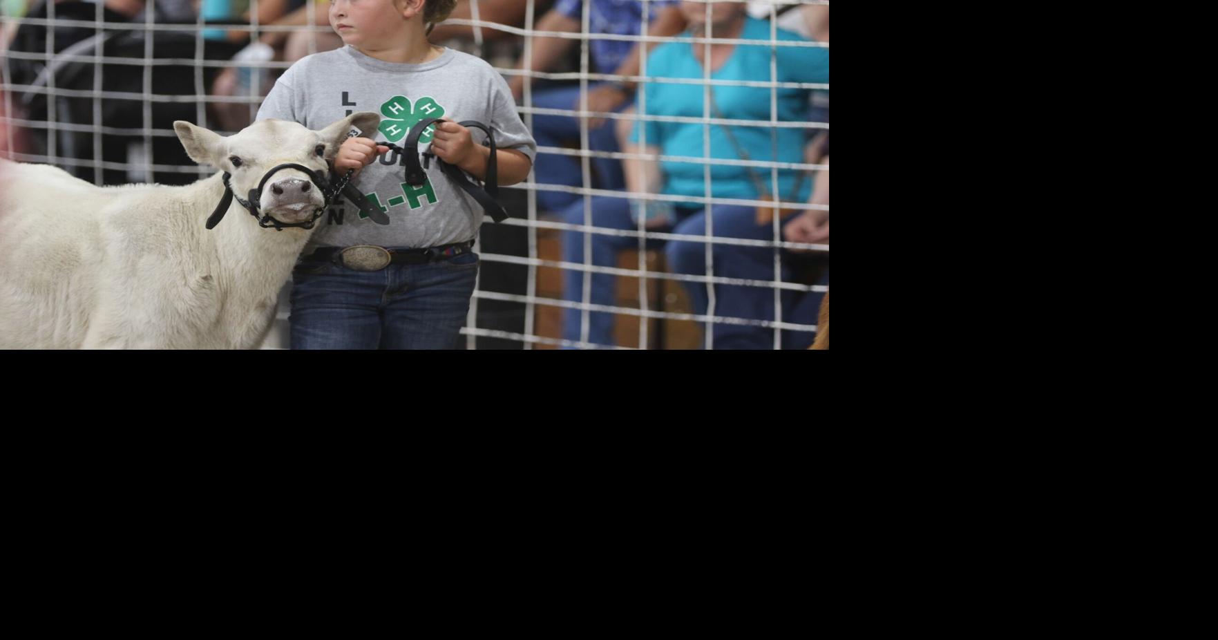 Dawson County 4H fair results