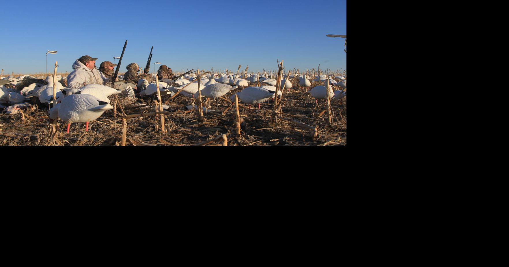 Light Goose Conservation Order starts Feb. 13