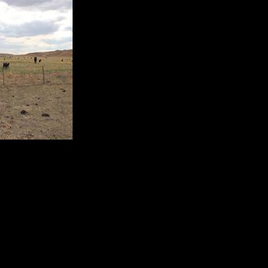 Third-generation rancher works to ensure future in ranching for his sons