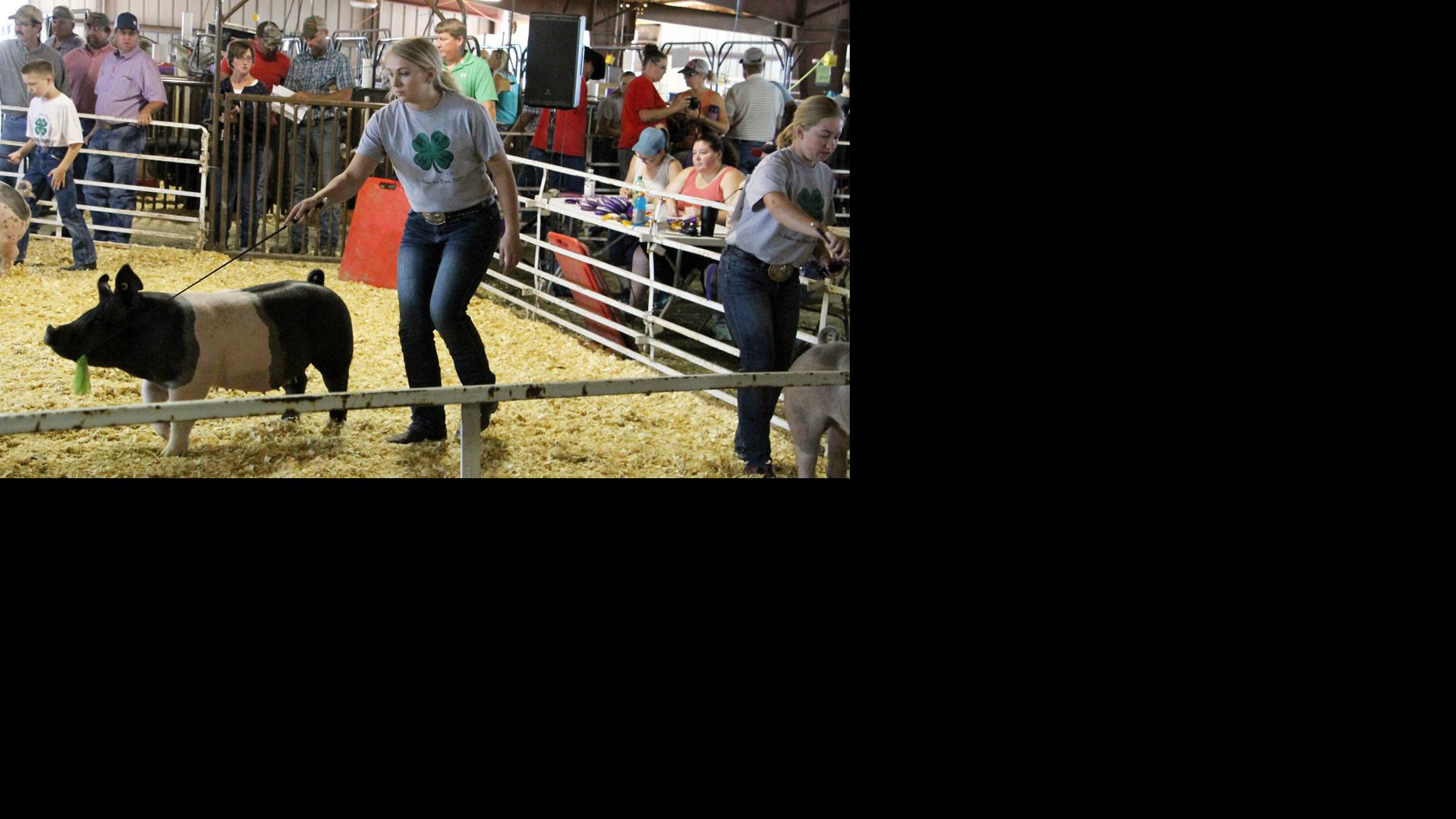 Lincoln County Fair to proceed, for now Local News