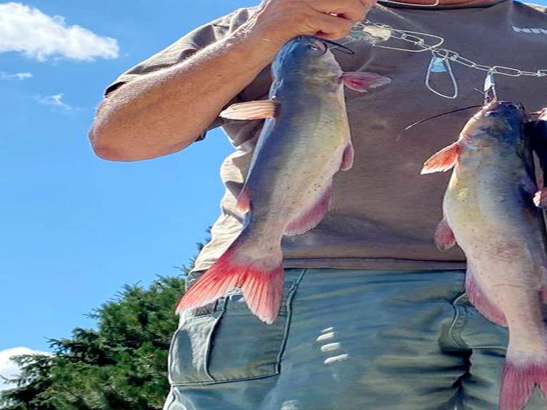 Windham When Other Fishing Shuts Down Go After Catfish Lifestyle Nptelegraph Com