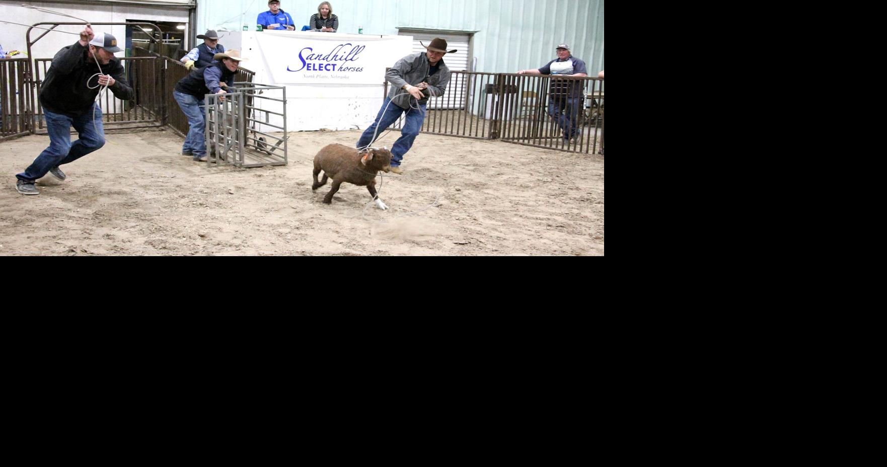 Lincoln County Ag Society hosts goat-roping, casino night fundraisers ...