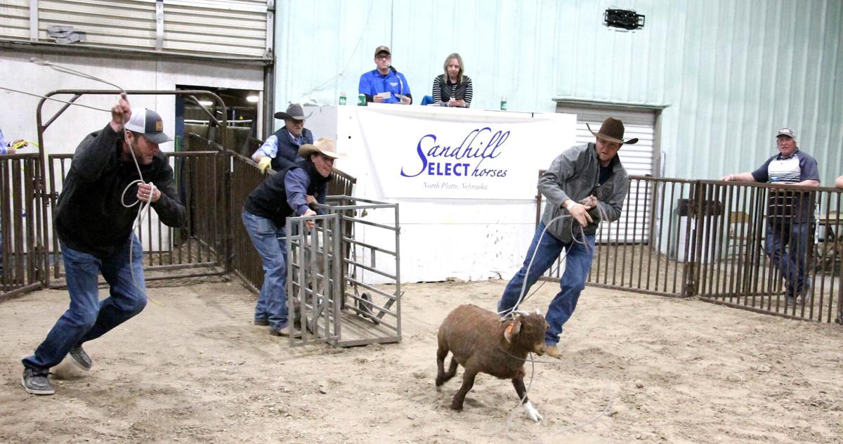 Goat Roping Contest Lincoln County Ag Society hosts goat-roping, casino night fundraisers ...
