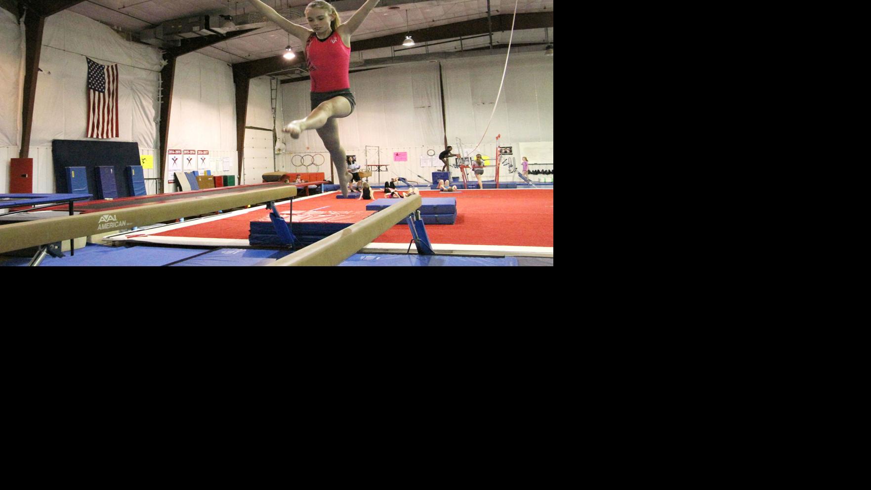 Trio Of Area Girls To Compete In State Gymnastics Competition Sports News Nptelegraph Com