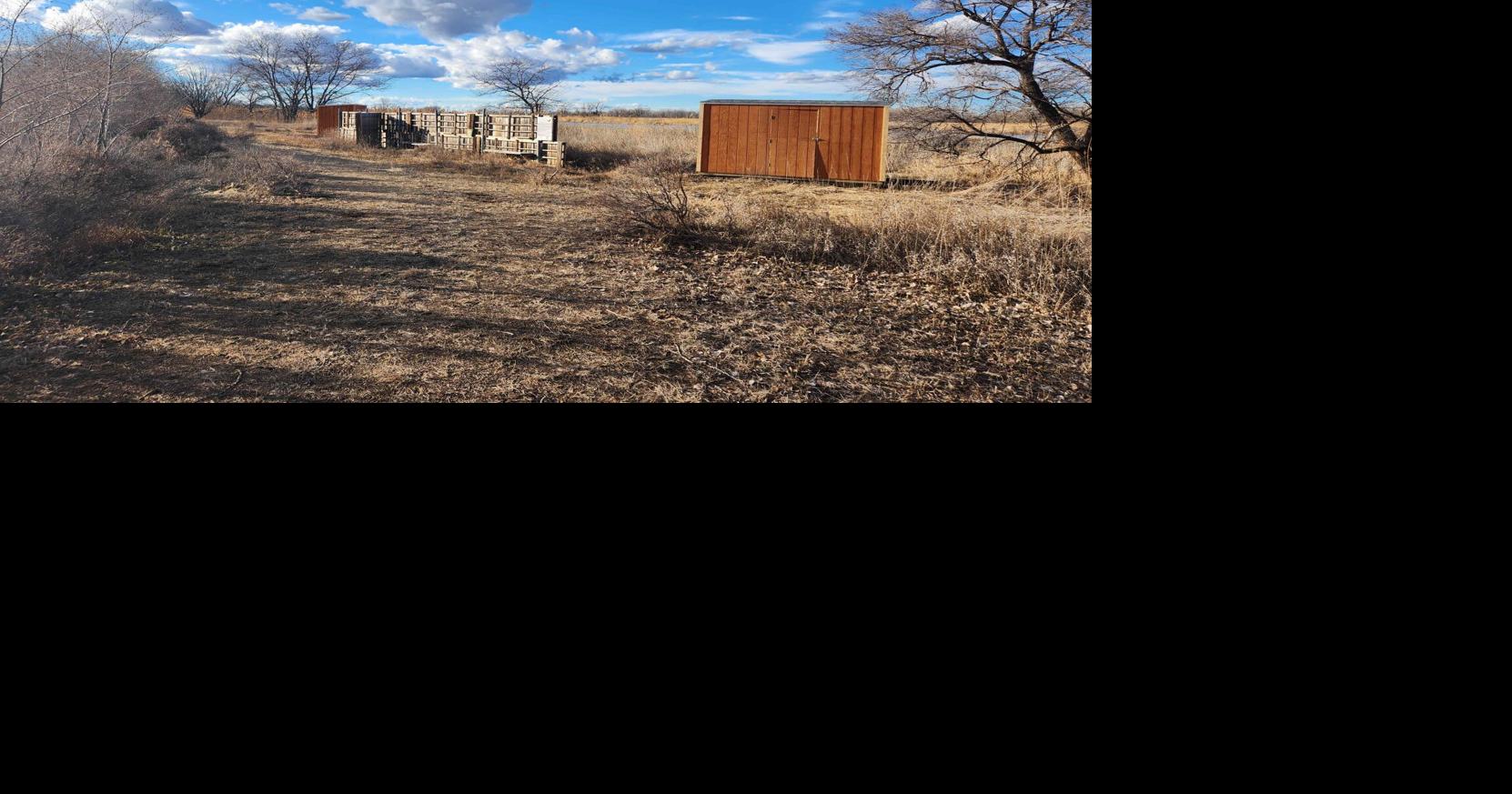 North Platte receives Watchable Wildlife Grant to upgrade sandhill ...