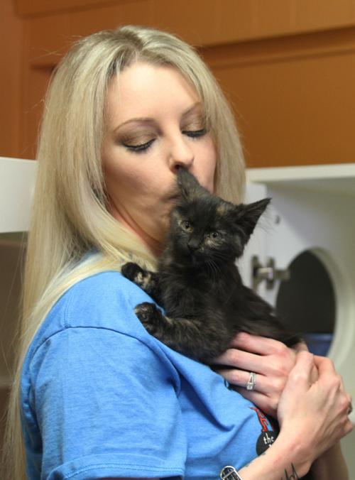 Fur The Future Nptelegraph Com