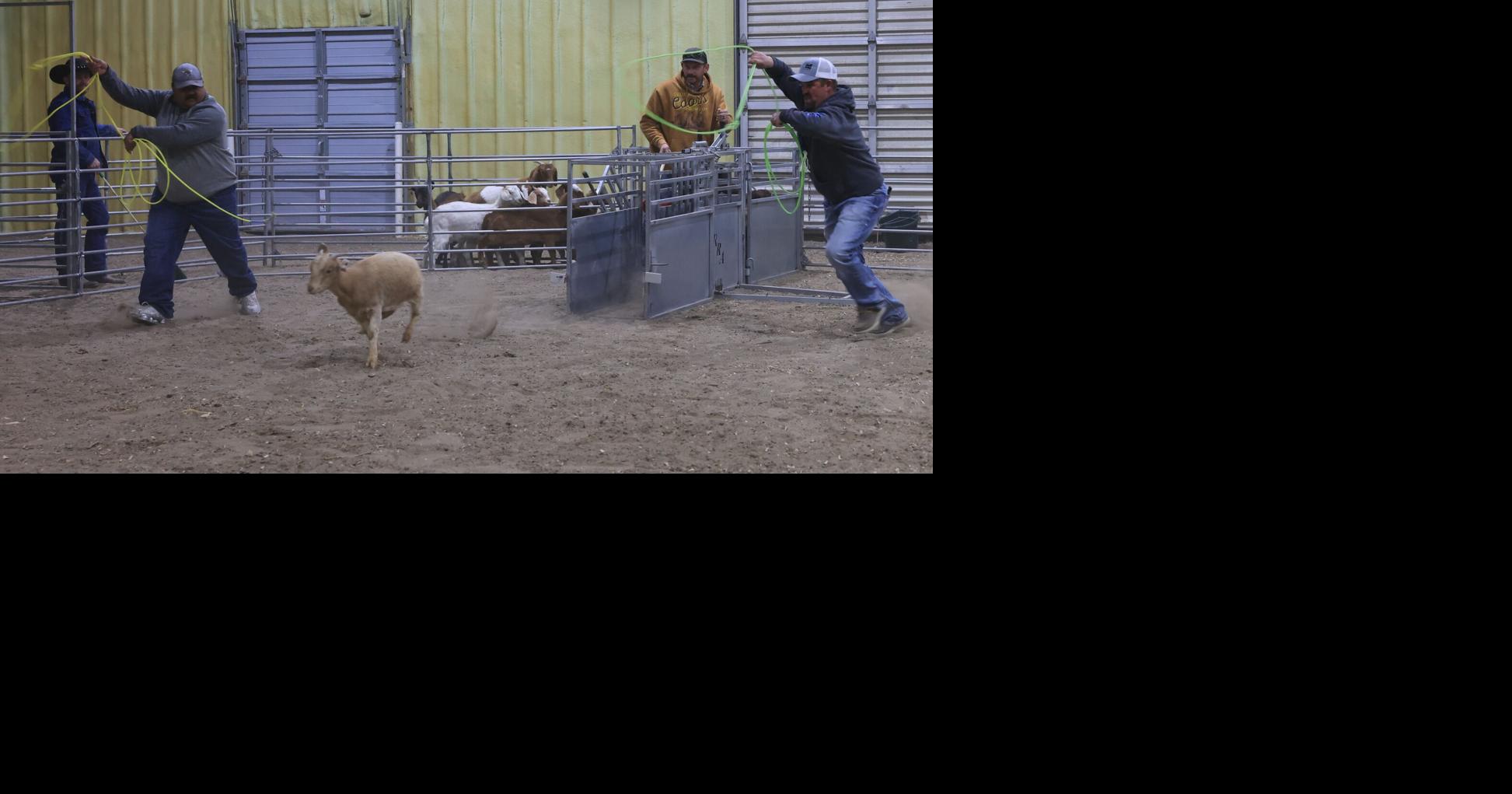 Lincoln County Ag Society hosts Casino Night & Goat Roping