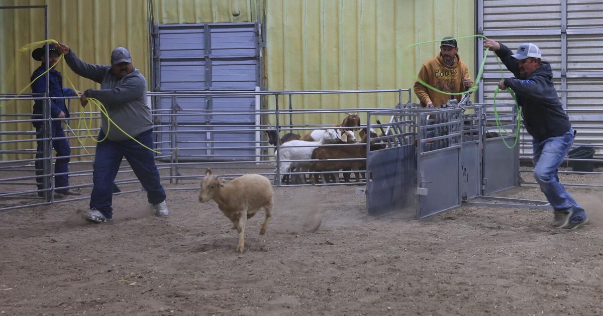 Goat Roping Contest Lincoln County Ag Society hosts Casino Night & Goat Roping