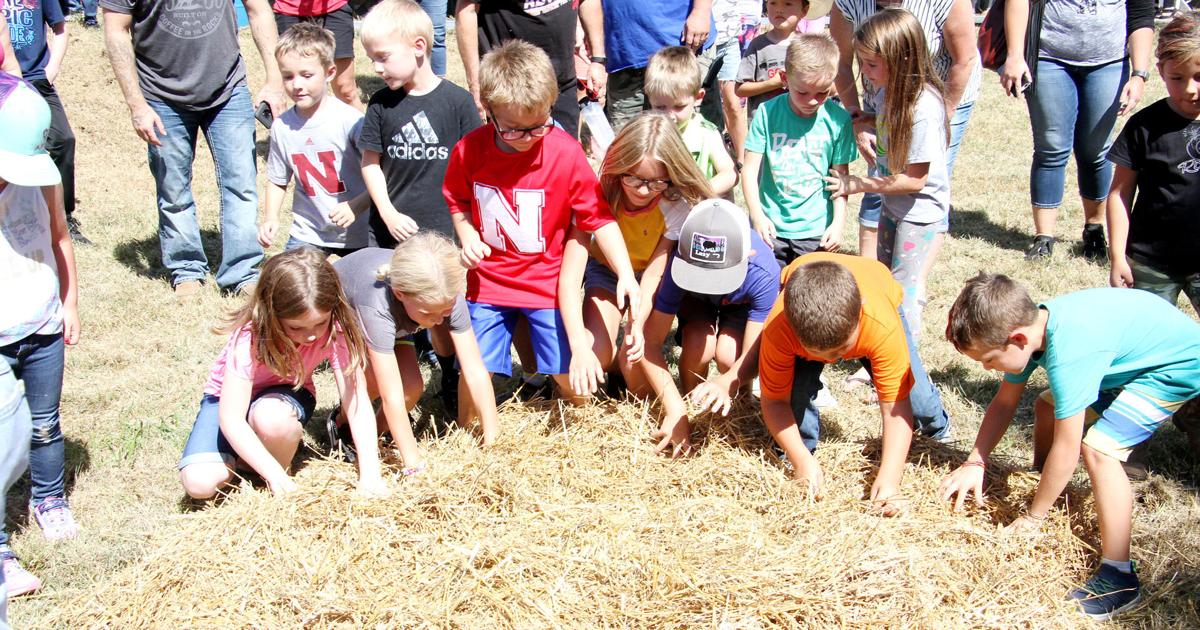 Wellfleet Fall Festival returns with