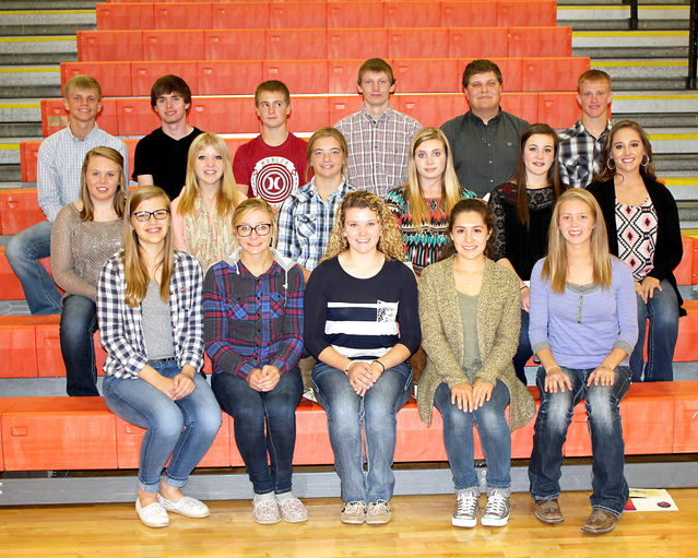 Dawson County 4‑H’ers qualify for state competition