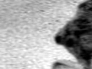 Boulder Jane Doe Identified But Who Did It Latest Headlines Nptelegraph Com Harvey glatman was born in december of 1927 to a jewish family in the bronx, new york; boulder jane doe identified but who