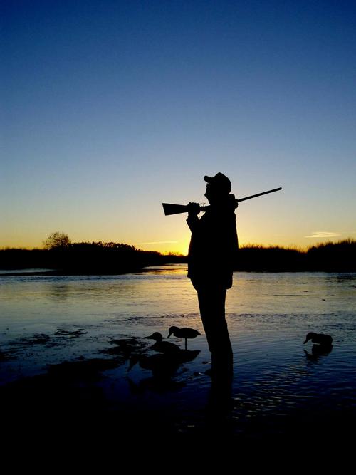 Windham: Wish you had a crystal ball for fowl?