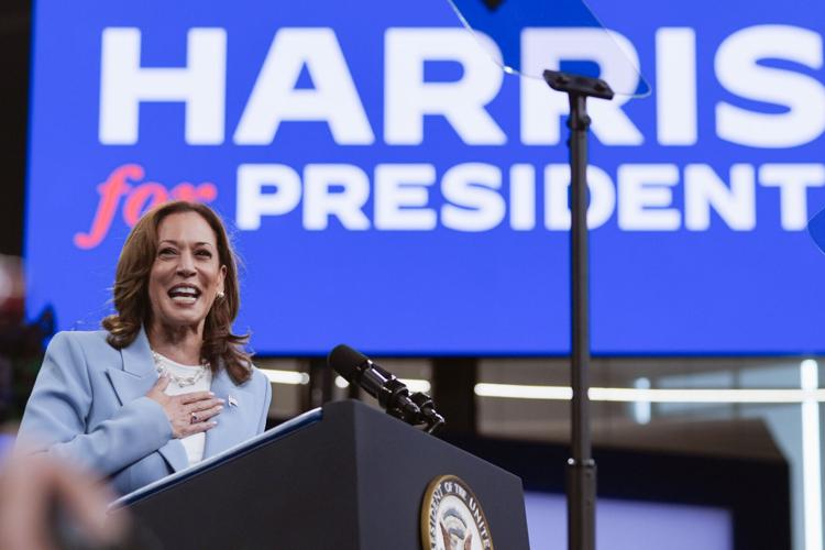 Harris sole Democratic presidential candidate in party vote