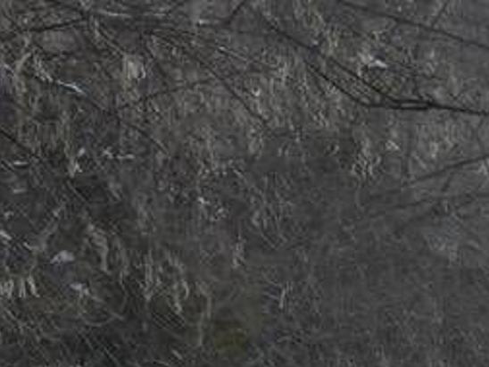 How Do You Hunt Turkeys In This Bad Weather Lifestyle