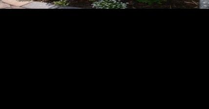 Master Gardener: Garden for the health of it - Vimarsana News