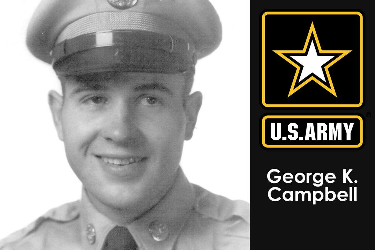 Honoring Our Veterans Gallery 2019 Gallery Nptelegraph Com
