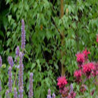 Putting The Garden To Bed In The Fall Lifestyle Nptelegraph Com