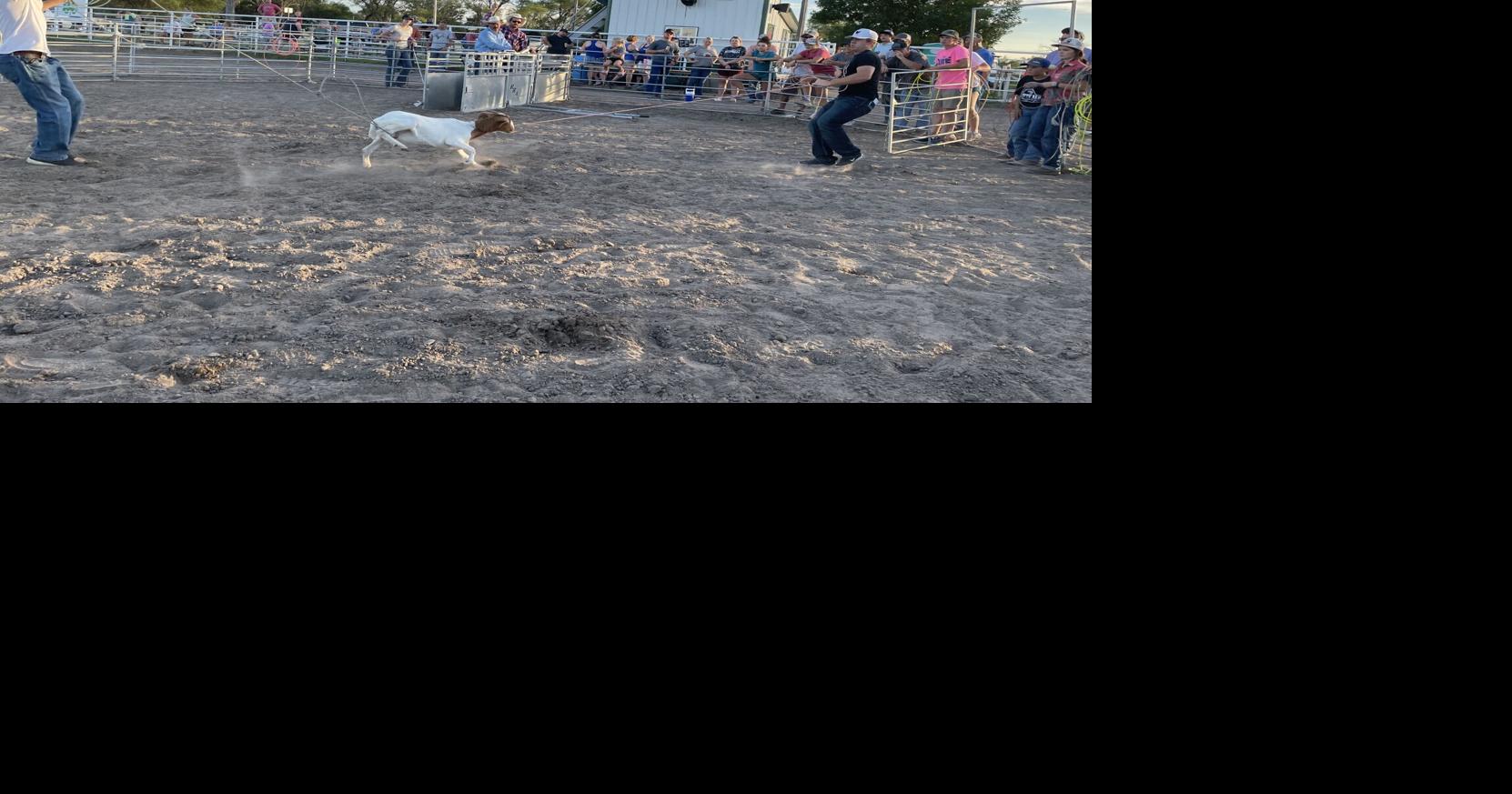 Goat roping gives fair goers fun