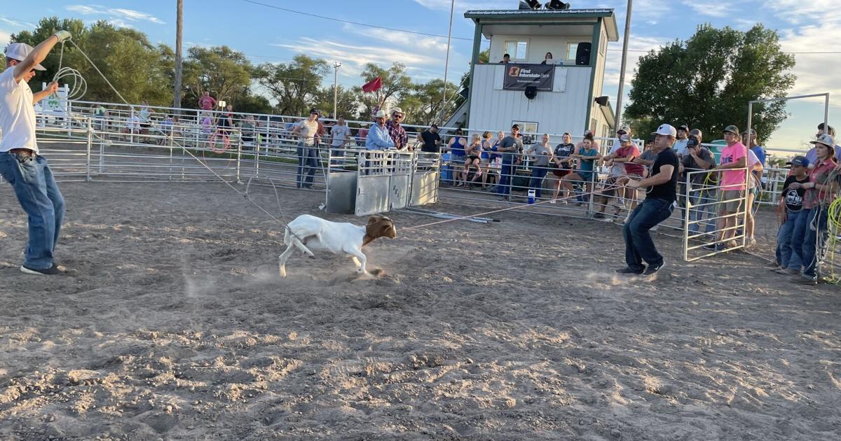 Goat Roping Mem Goat roping gives fair goers fun