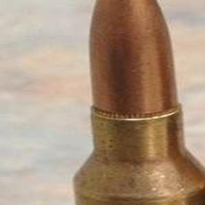 Wrong Ammunition Almost Ends In Tragedy Weaponry Nptelegraph Com