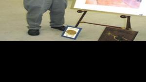 Watercolor Painting Earns Best Of Show News Nptelegraph Com