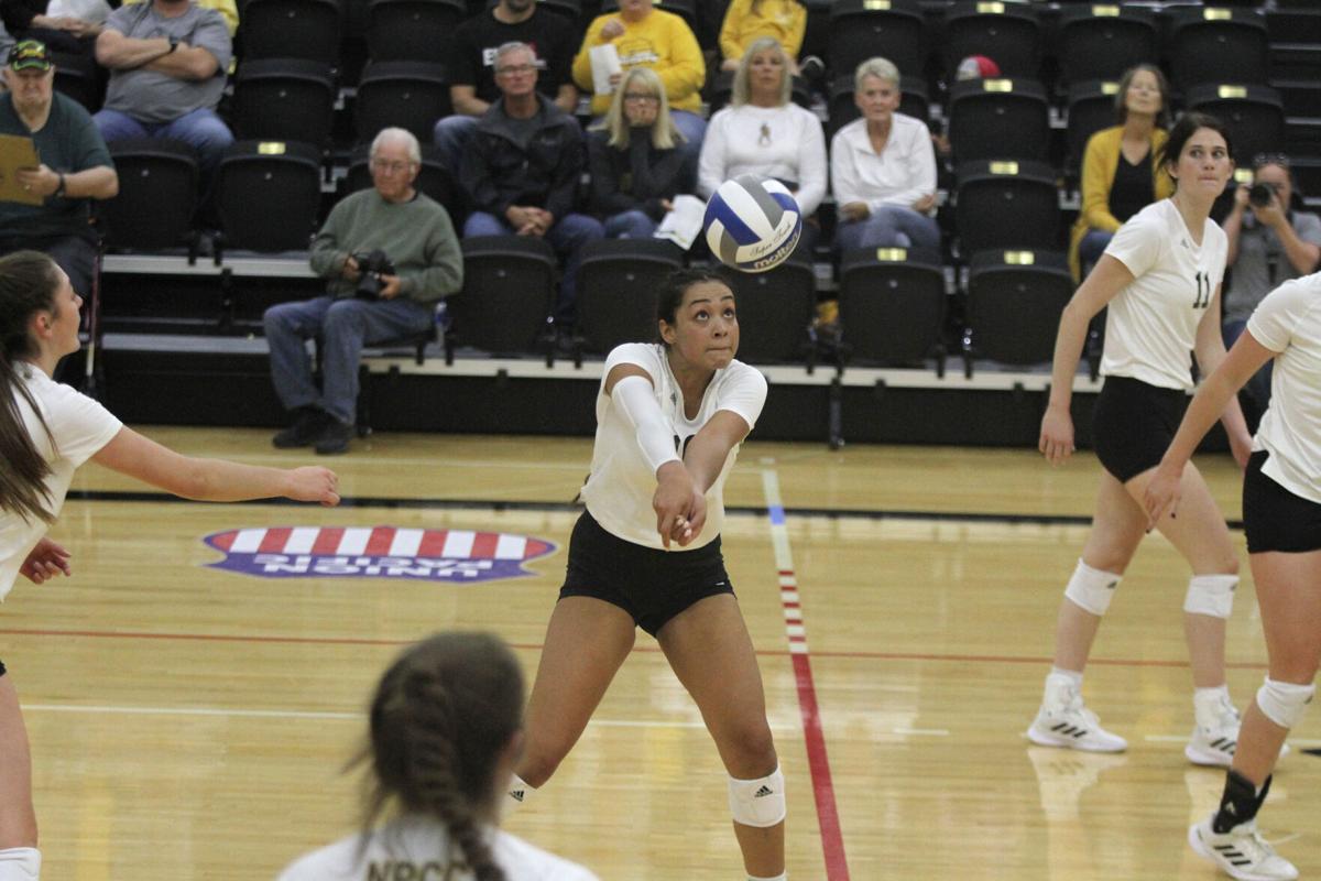 NPCC volleyball sweeps Northeastern