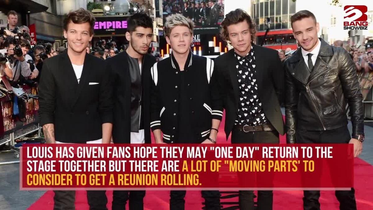Are One Direction Getting Back Together?