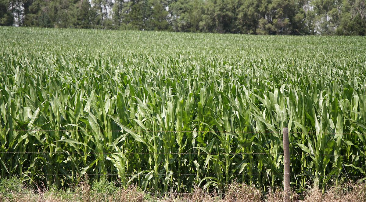 Ag land values drop for 4th year