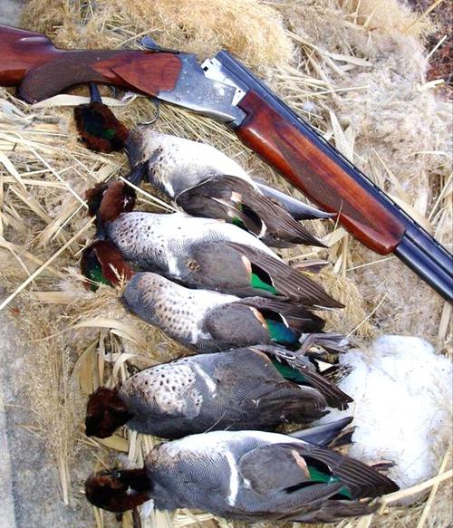 Windham: Can waterfowling be a deadly sport?