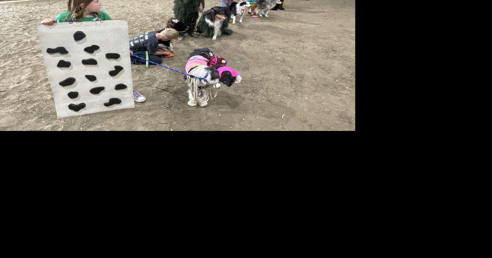 Pet competitions at Lincoln County Fair amuses crowd