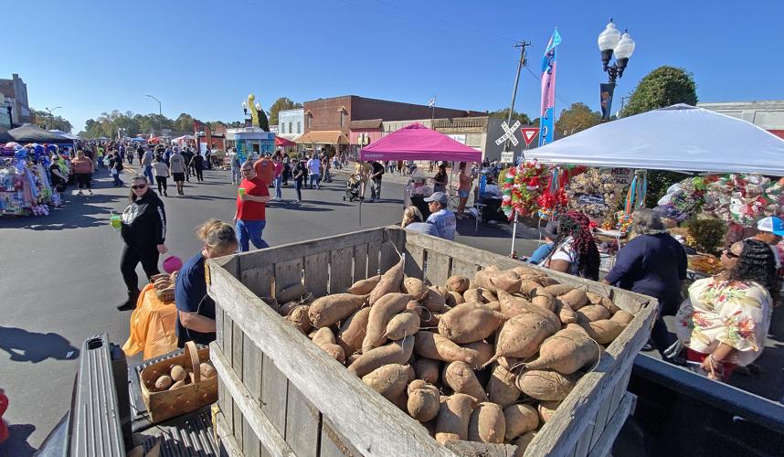 Tabor City celebrates sweet spuds photos from N.C. Yam Festival