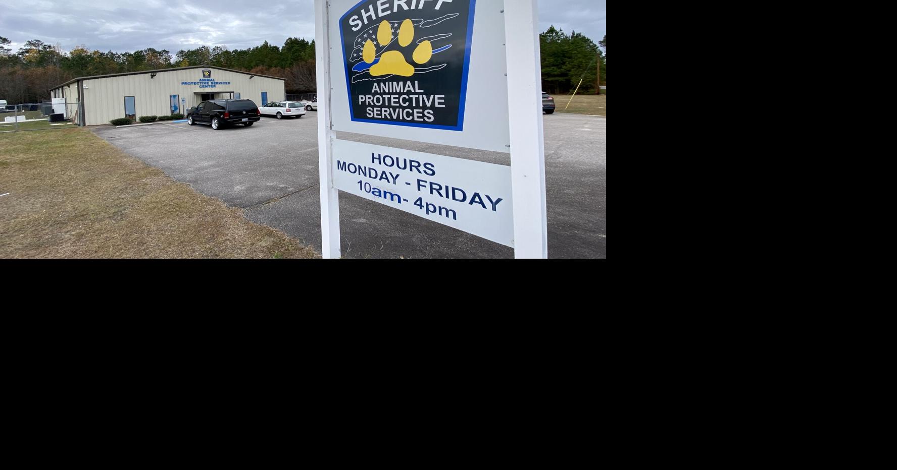 Animal shelter reopens after closing for ‘unforeseen circumstances ...